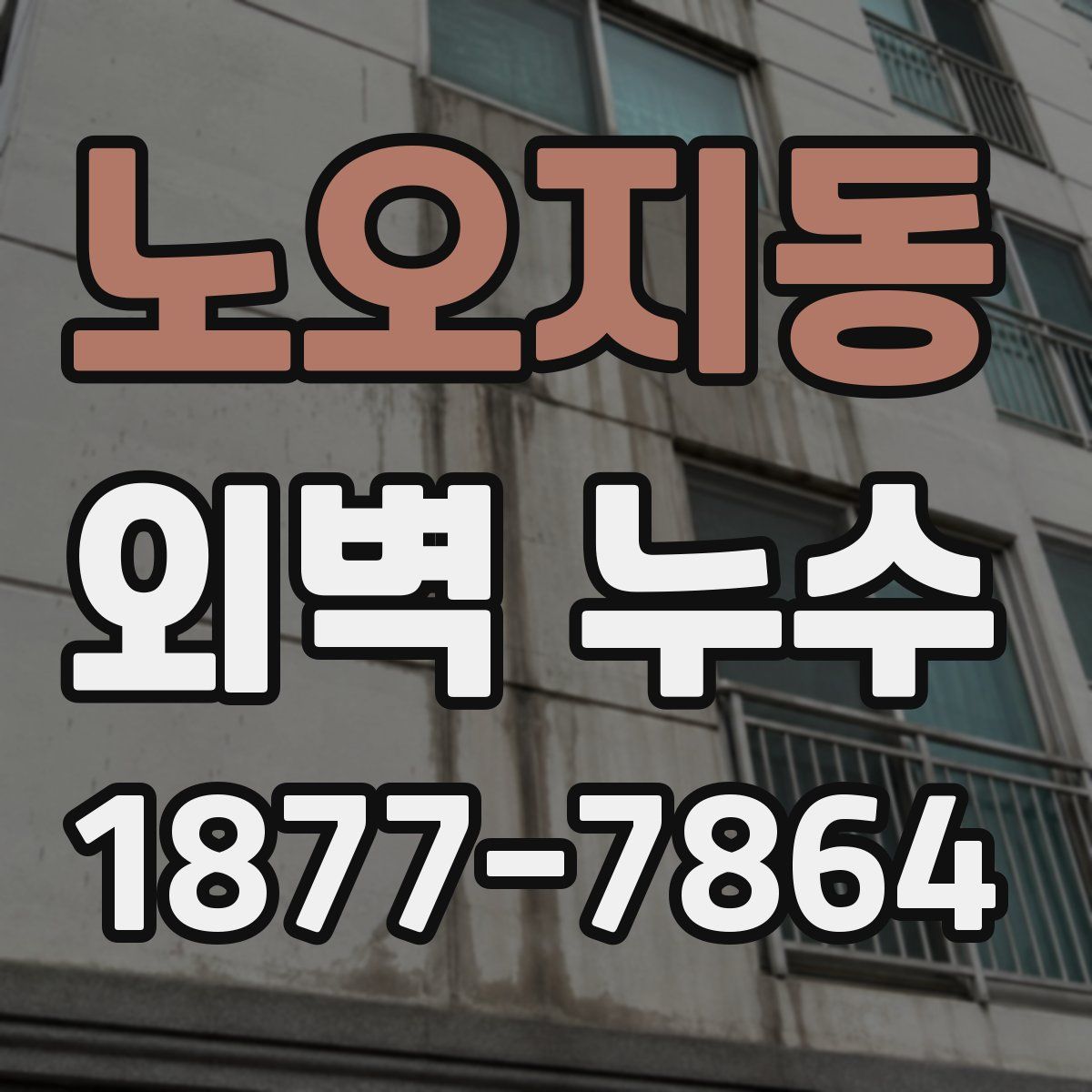 노오지동 외벽 누수