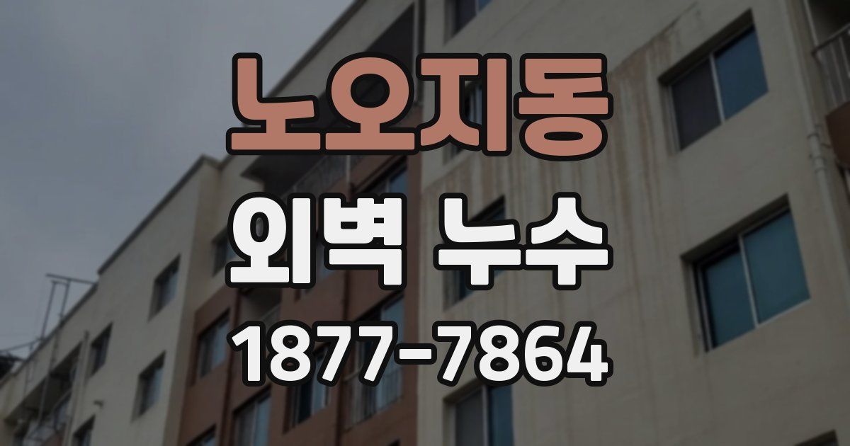 노오지동 외벽 누수