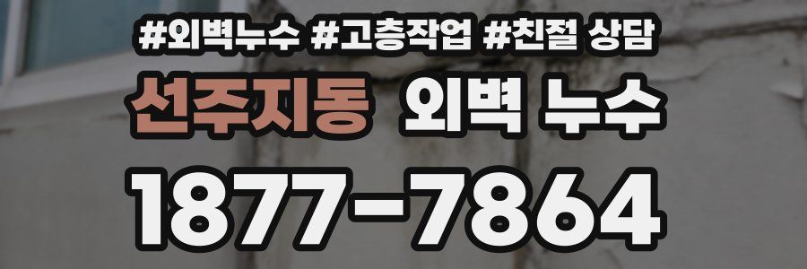 선주지동 외벽 누수