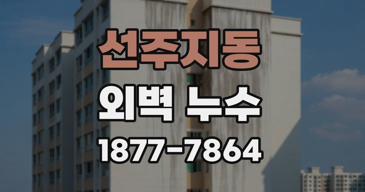 선주지동 외벽 누수