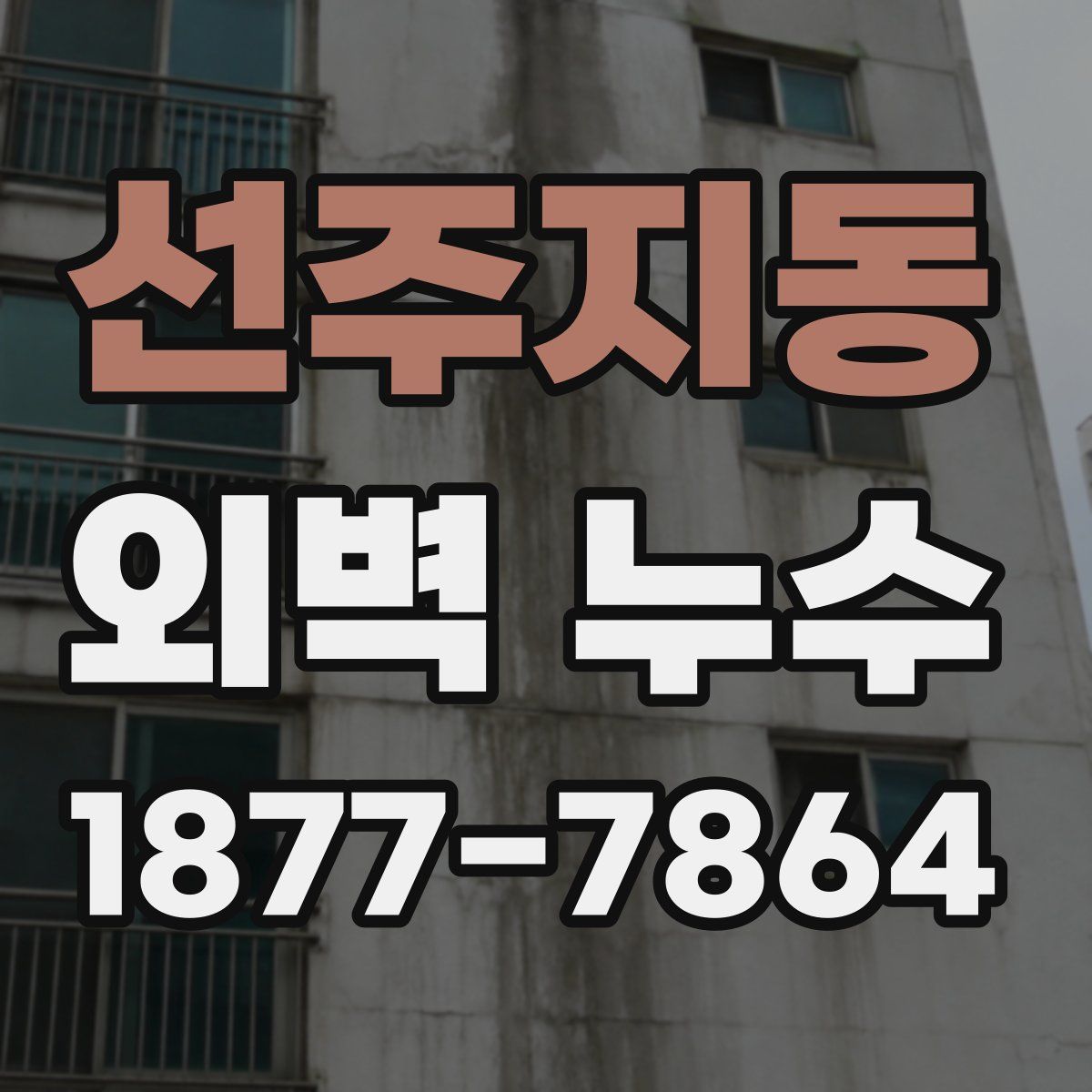 선주지동 외벽 누수