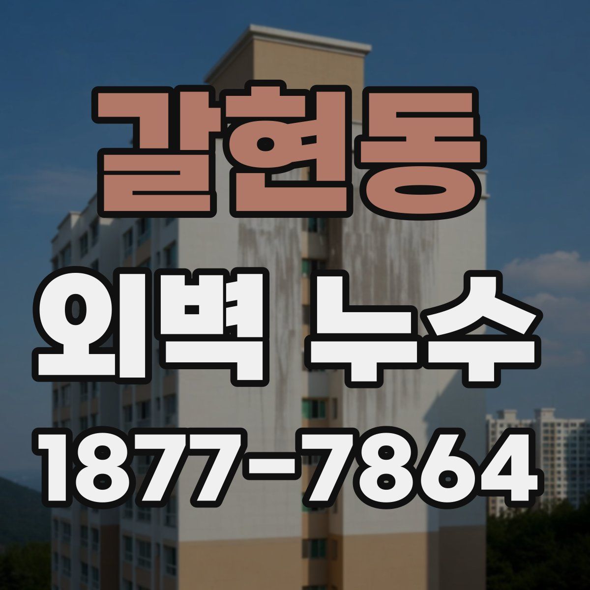 갈현동 외벽 누수