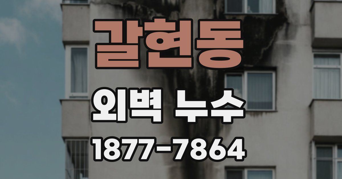 갈현동 외벽 누수