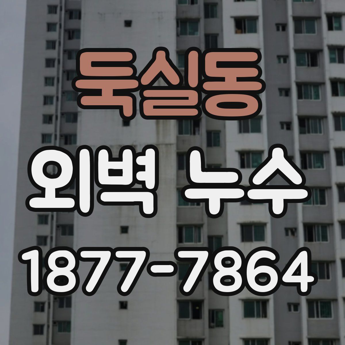 둑실동 외벽 누수