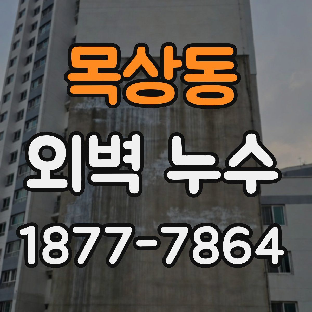 목상동 외벽 누수