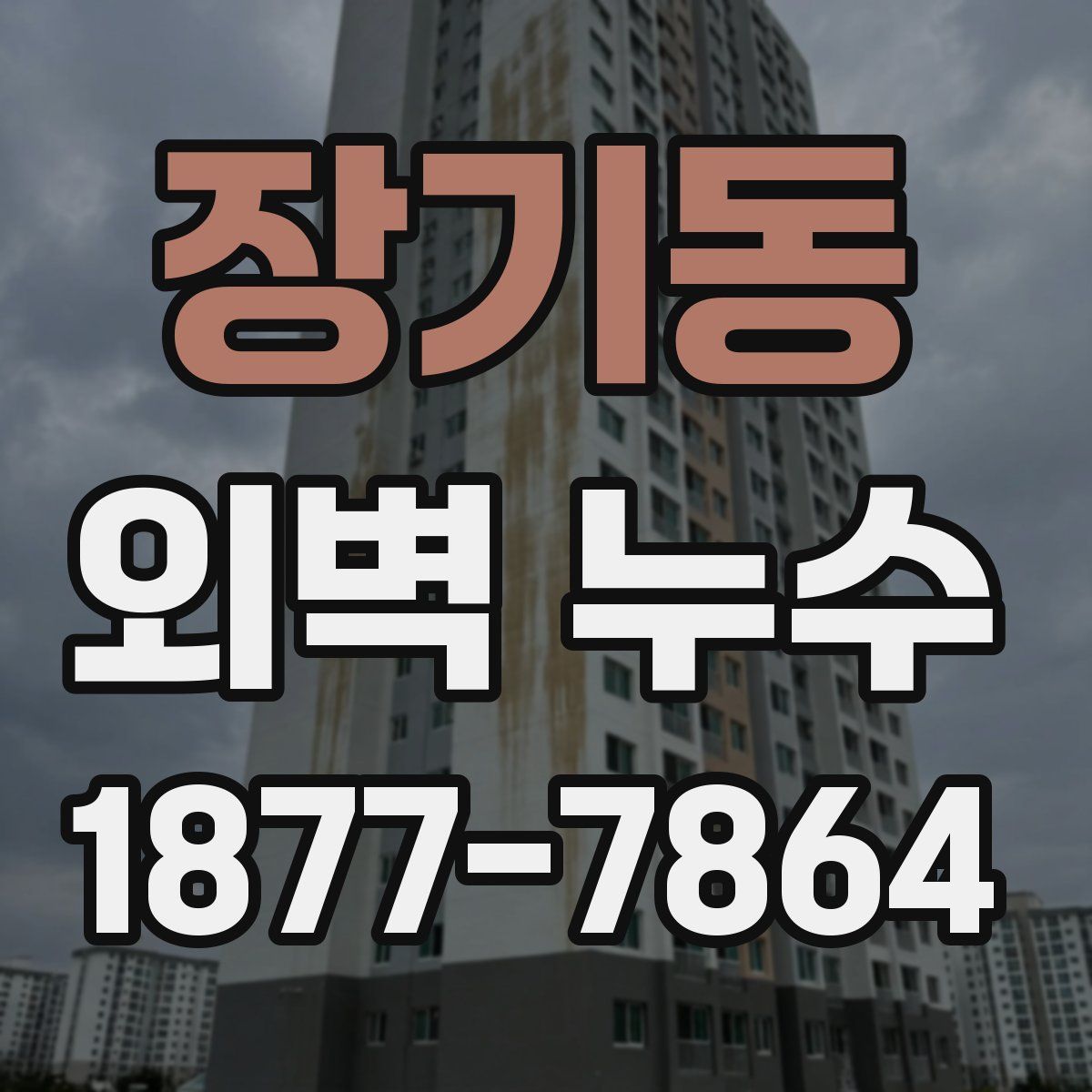 장기동 외벽 누수