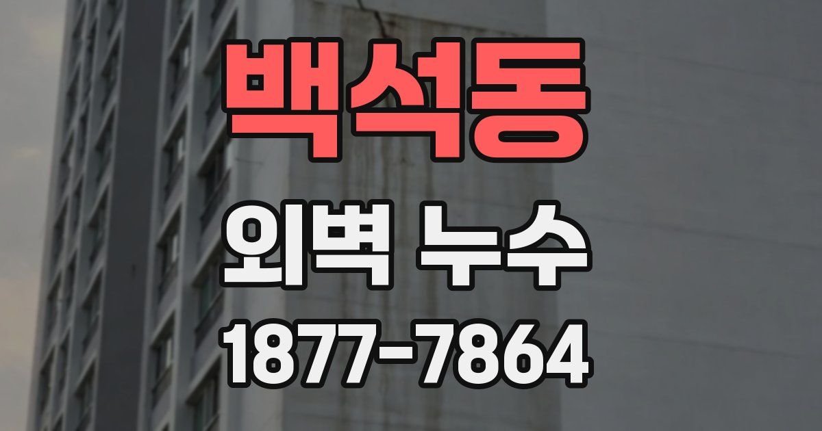 백석동 외벽 누수