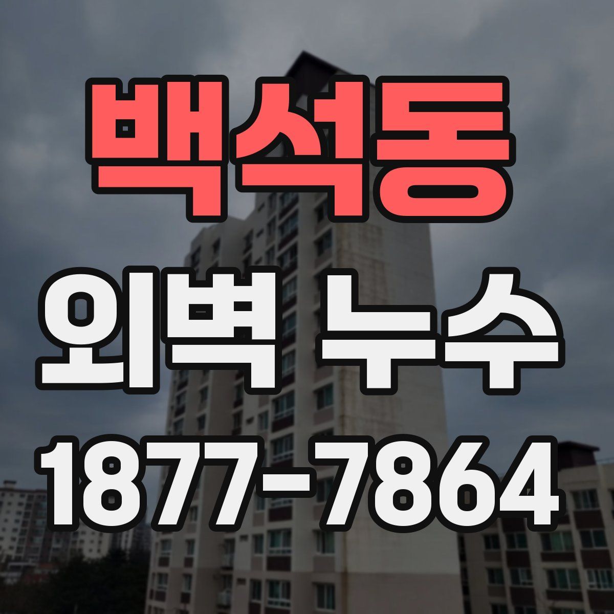 백석동 외벽 누수