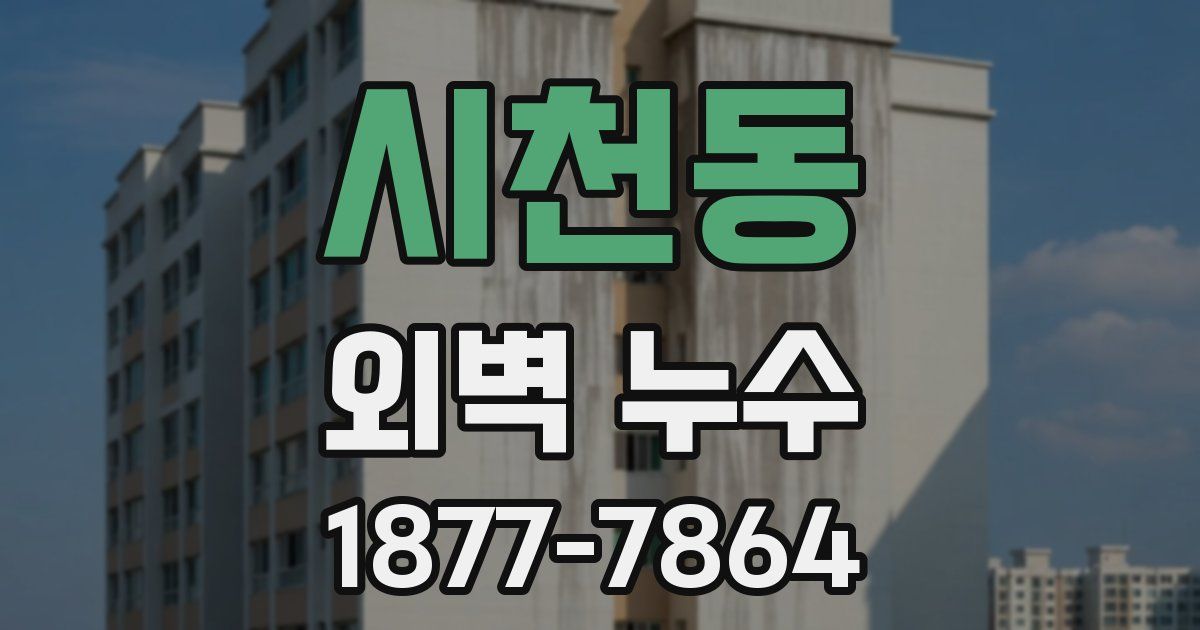 시천동 외벽 누수
