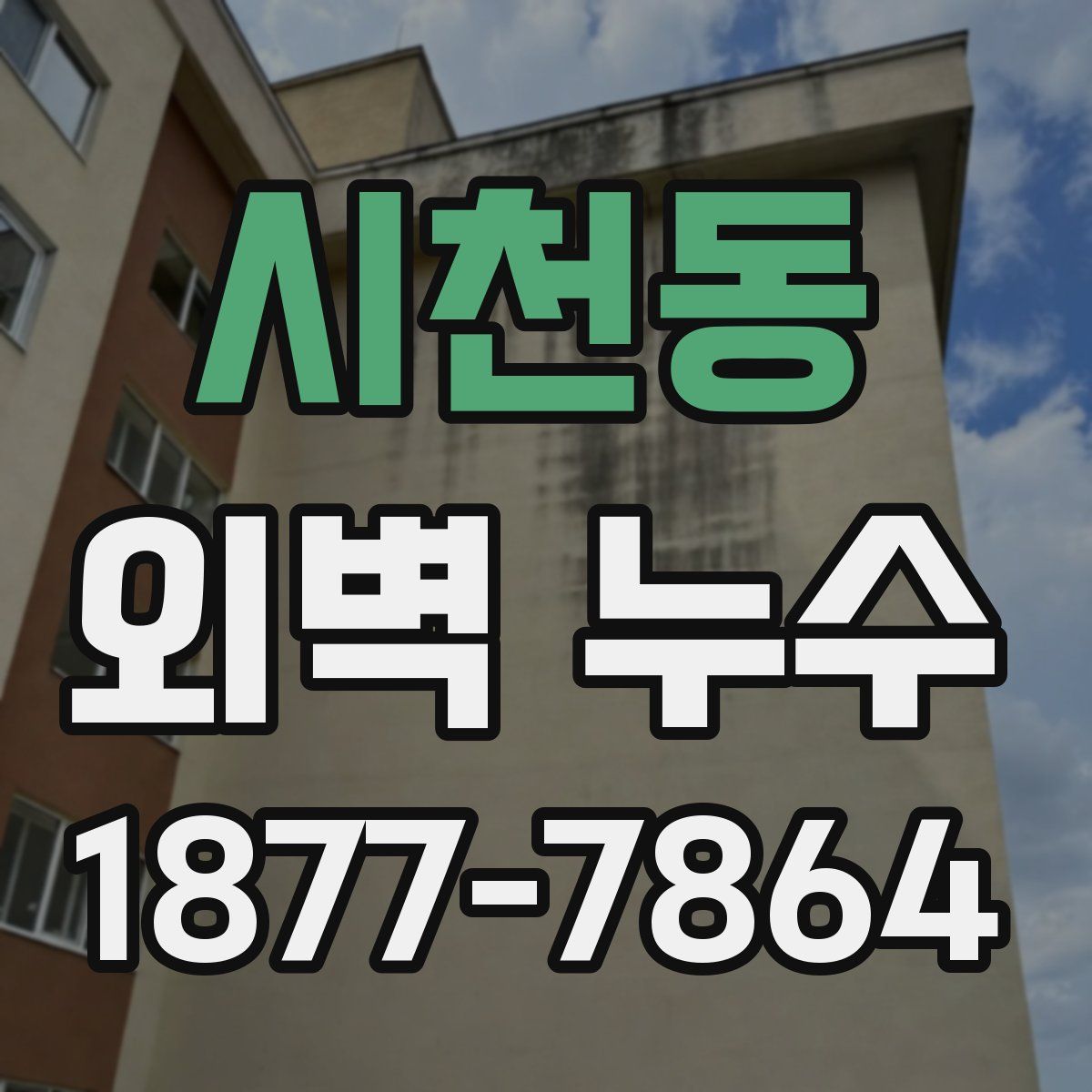 시천동 외벽 누수