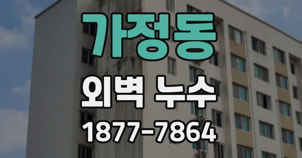 가정동 외벽 누수