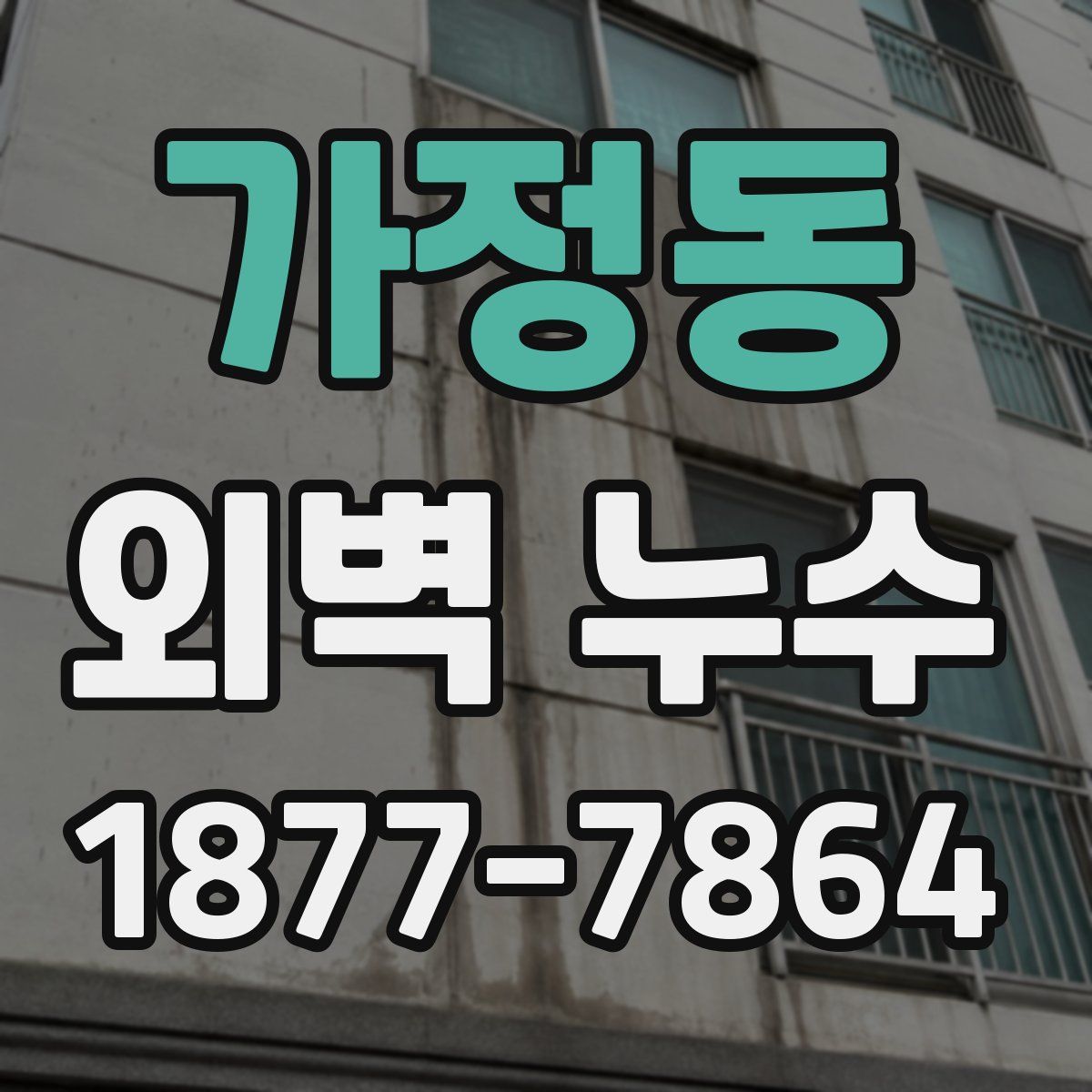 가정동 외벽 누수