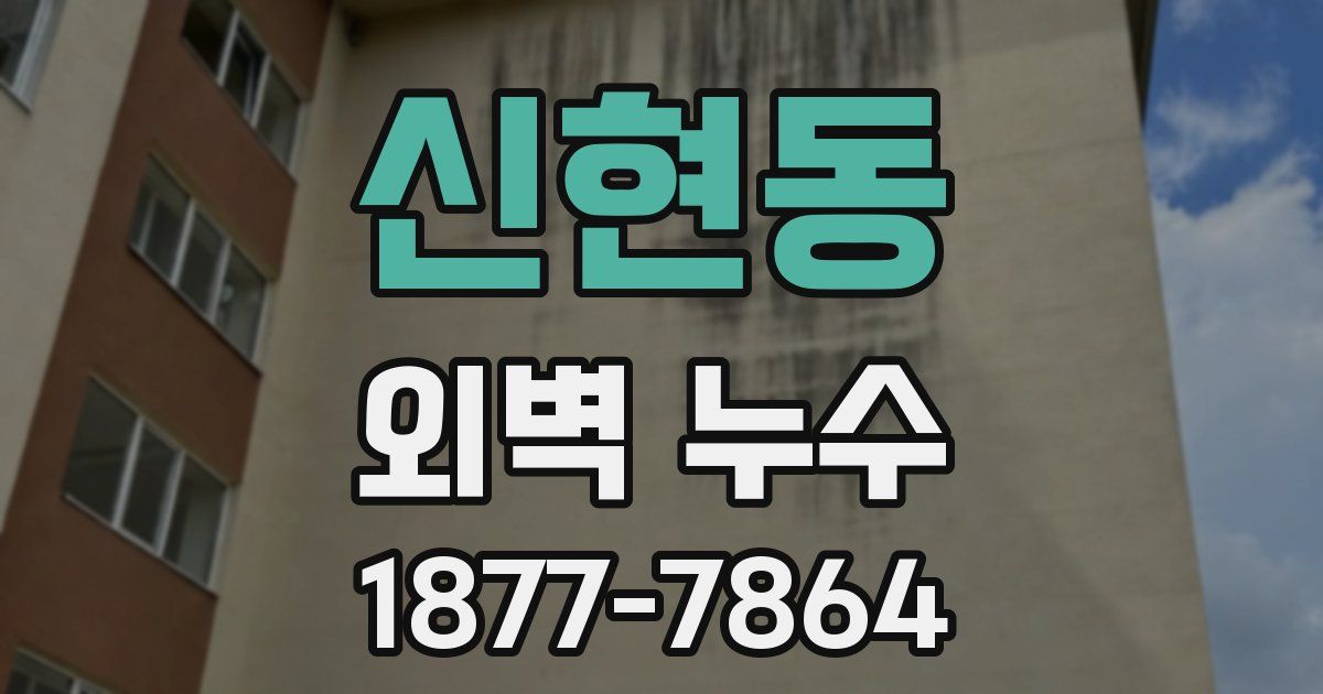 신현동 외벽 누수