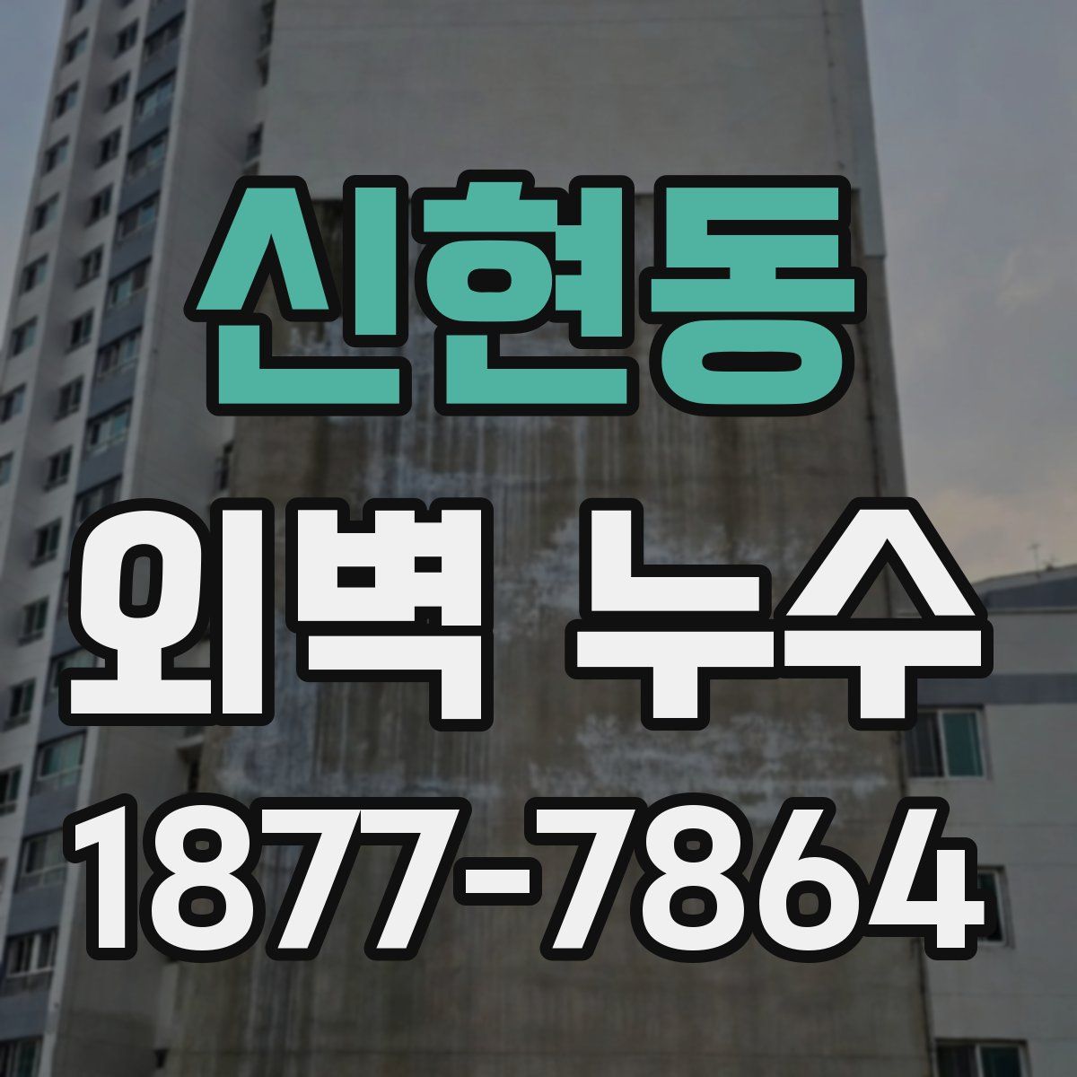 신현동 외벽 누수