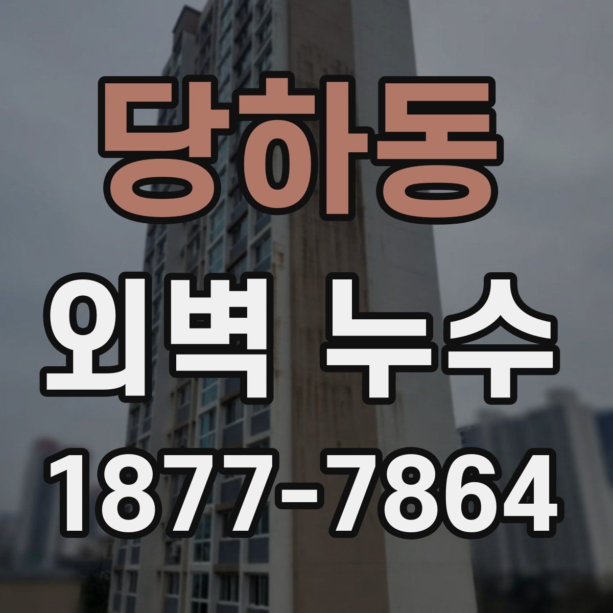 당하동 외벽 누수 보수 전 확인하는 하자 흔적