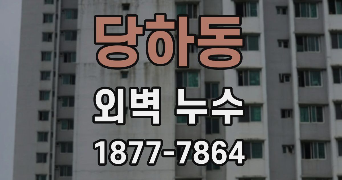 당하동 외벽 누수