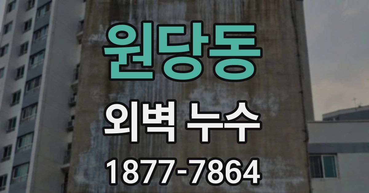 원당동 외벽 누수