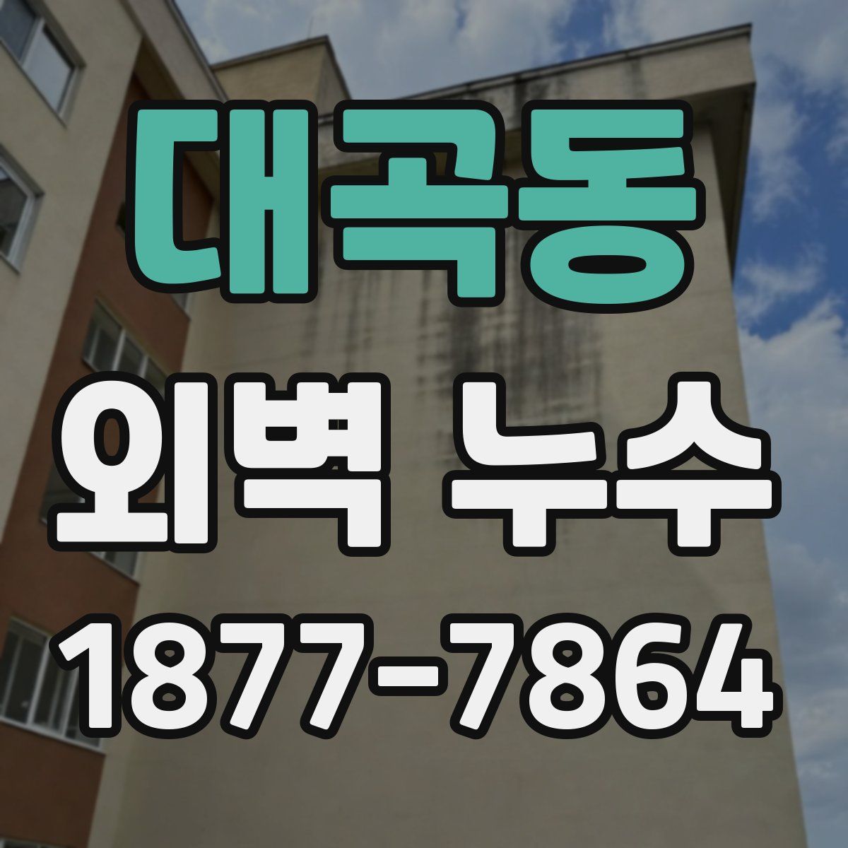 대곡동 외벽 누수