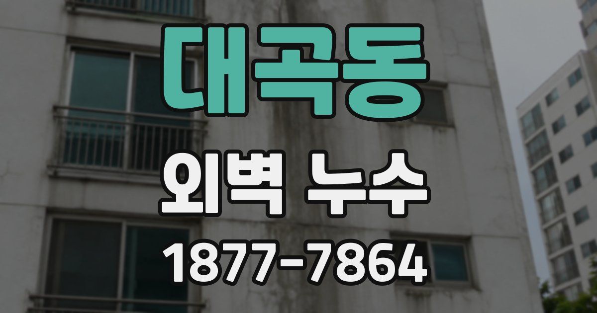 대곡동 외벽 누수