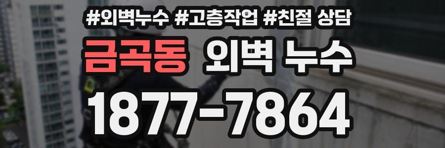 금곡동 외벽 누수