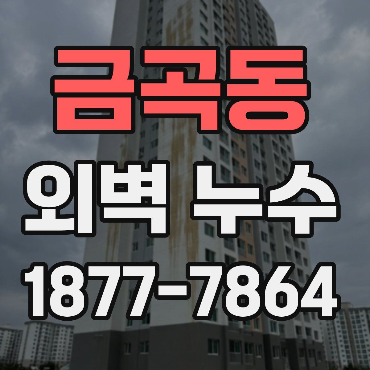 금곡동 외벽 누수