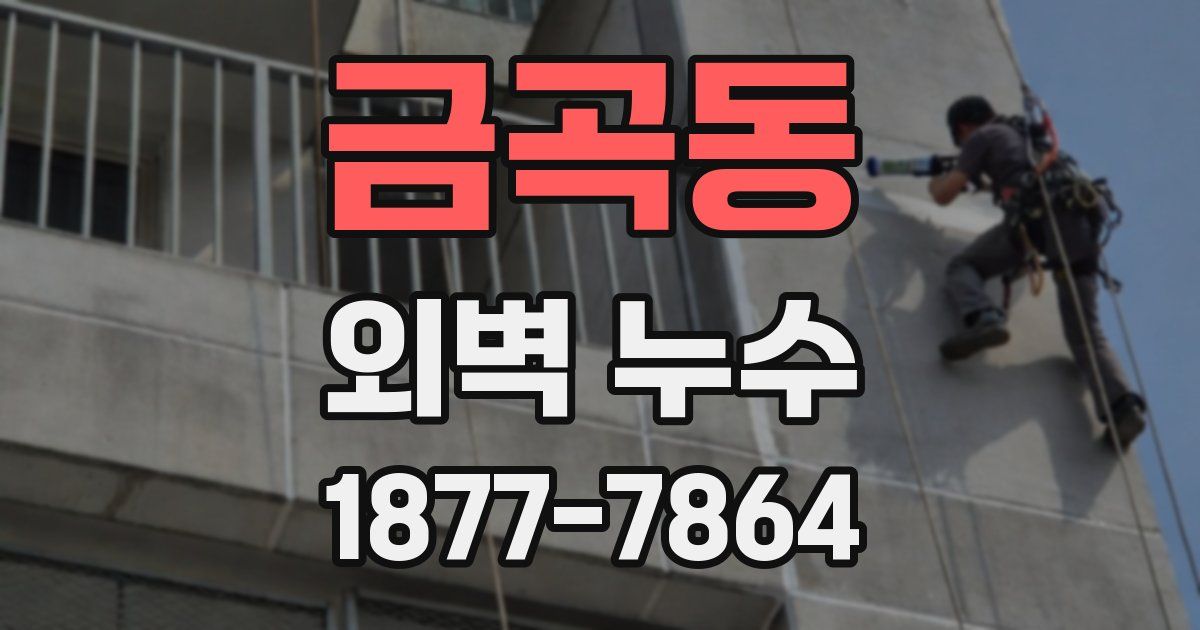 금곡동 외벽 누수