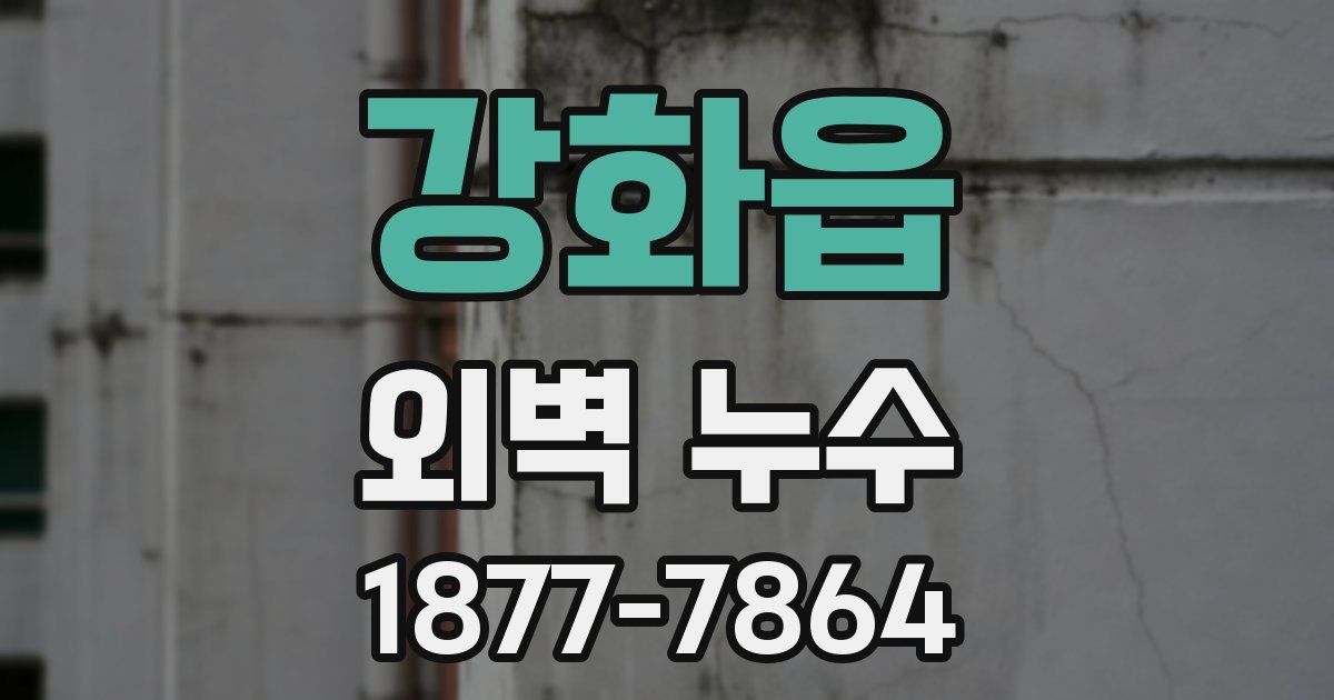 강화읍 외벽 누수