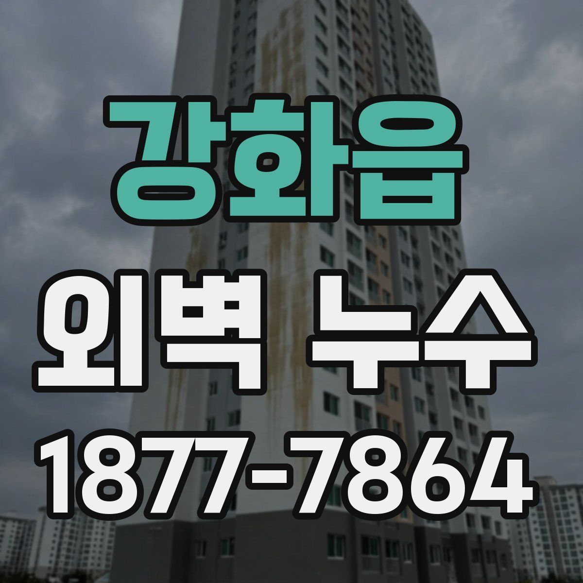 강화읍 외벽 누수