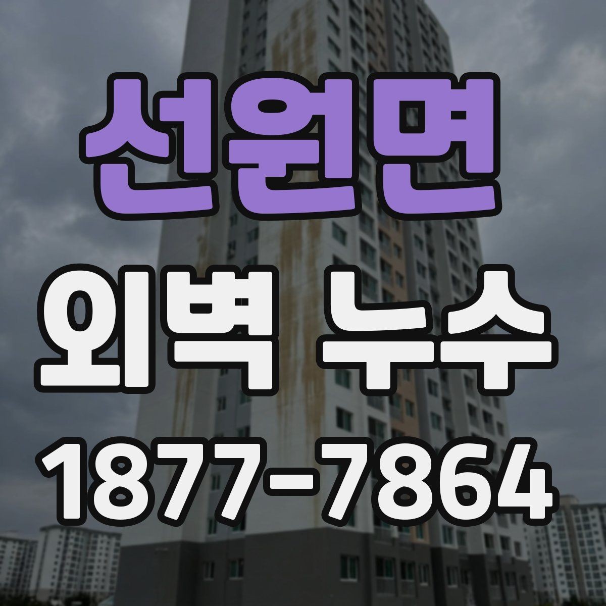 선원면 외벽 누수 의심 후 바로 해야 할 일
