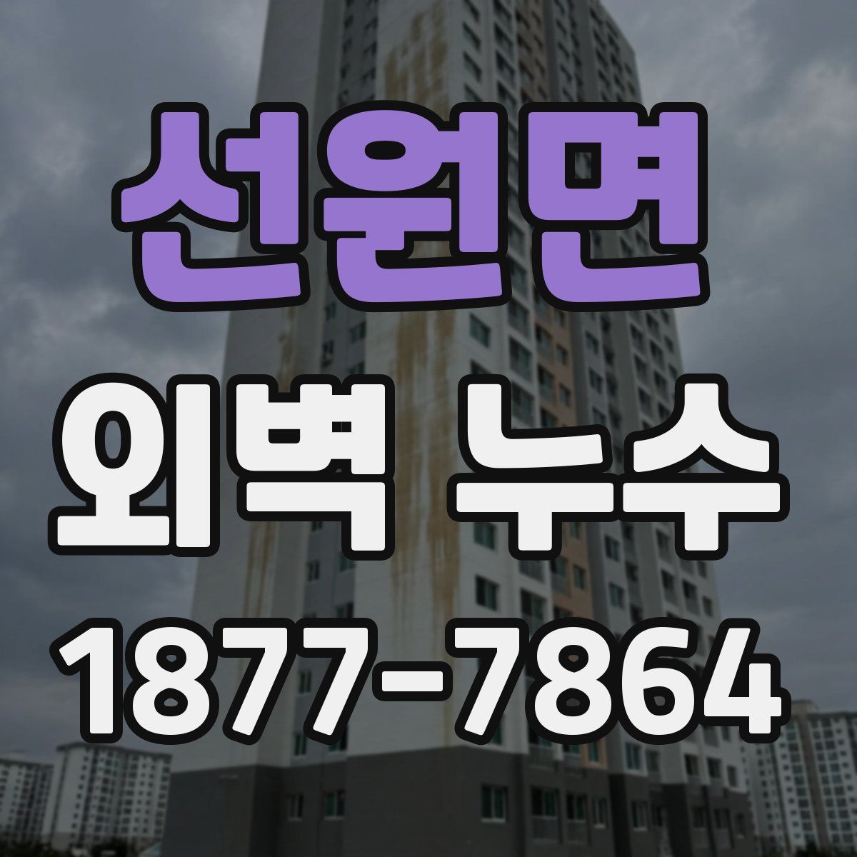 선원면 외벽 누수