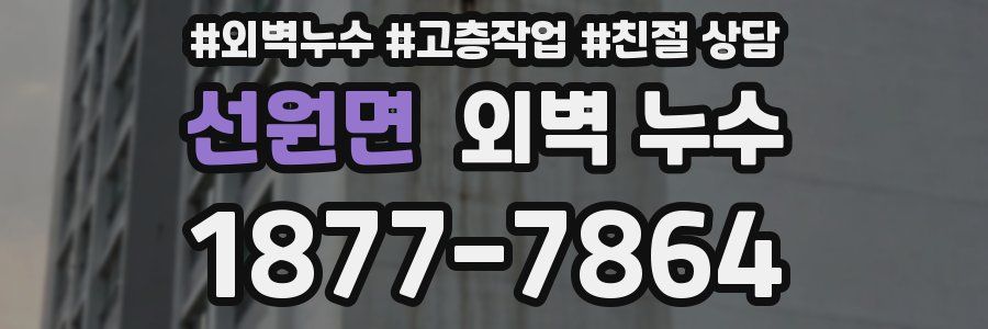 선원면 외벽 누수