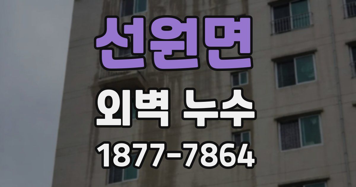 선원면 외벽 누수