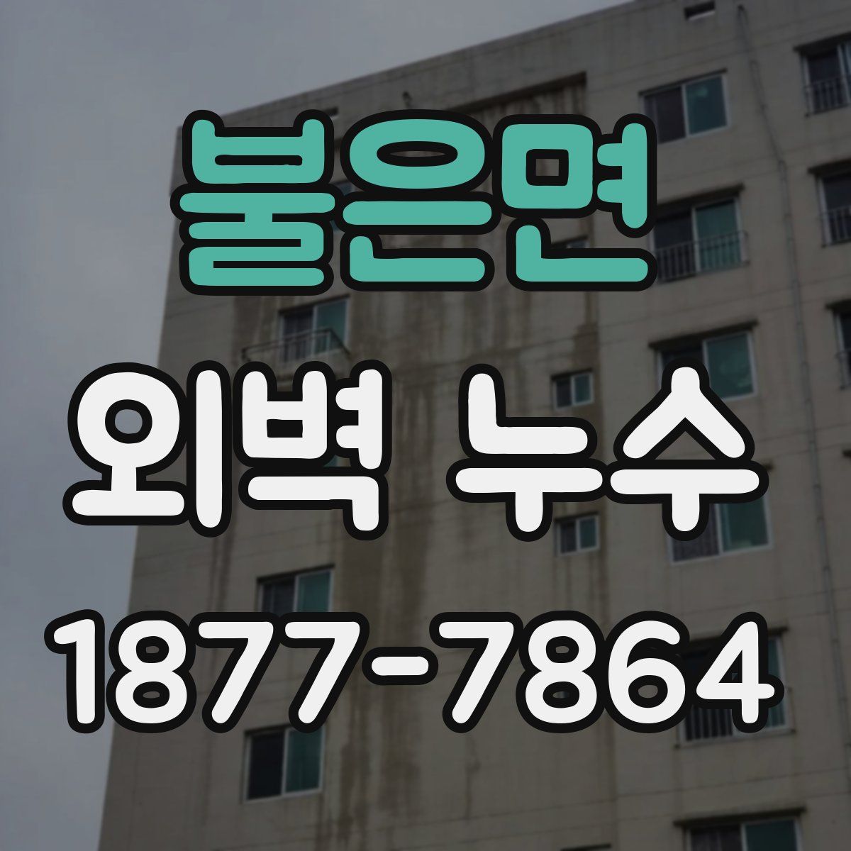 불은면 외벽 누수