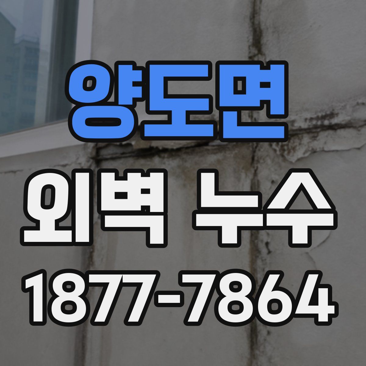 양도면 외벽 누수