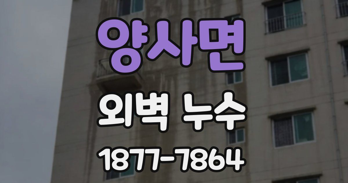 양사면 외벽 누수