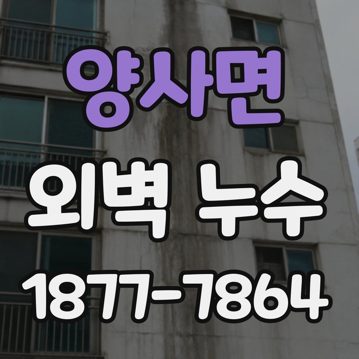 양사면 외벽 누수
