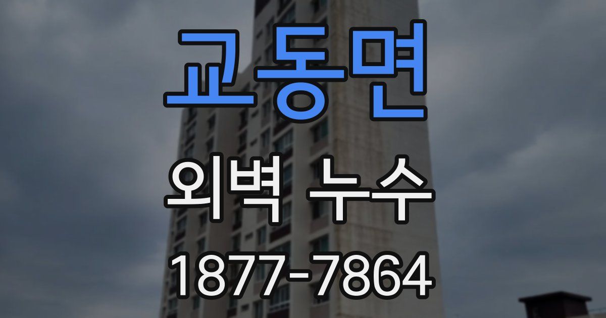 교동면 외벽 누수