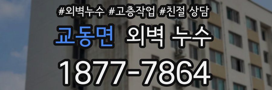 교동면 외벽 누수
