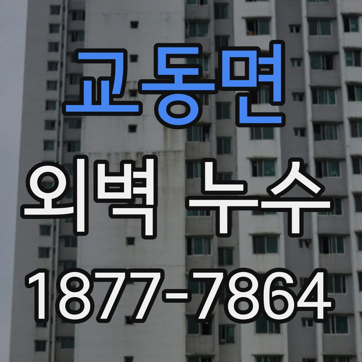 교동면 외벽 누수