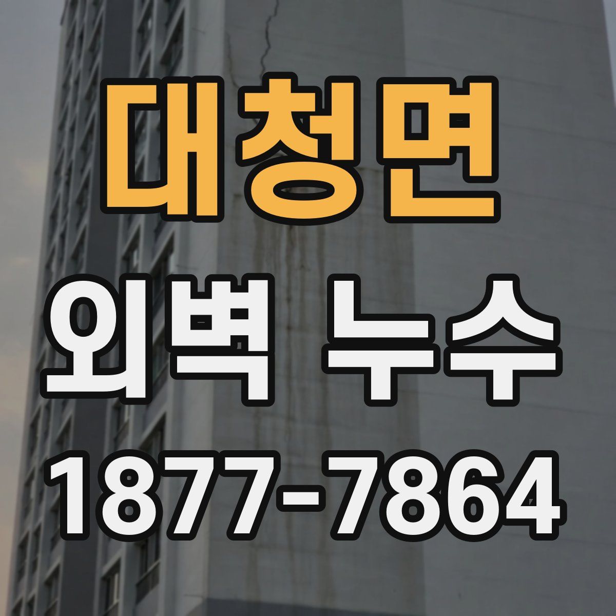 대청면 외벽 누수