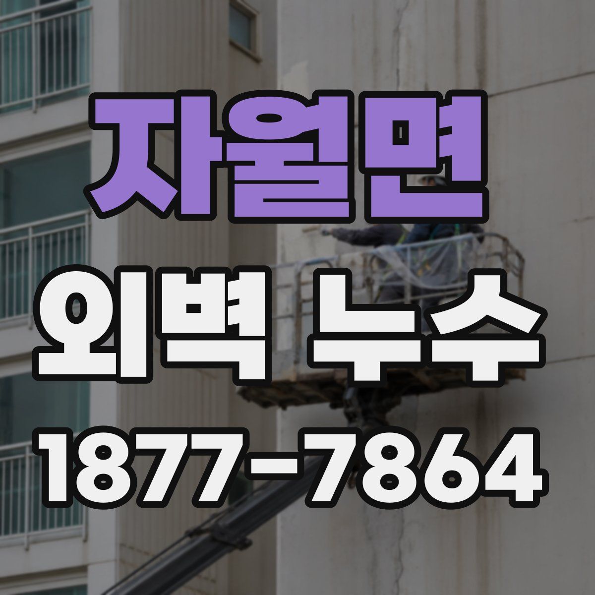 자월면 외벽 누수