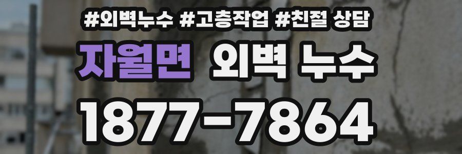 자월면 외벽 누수