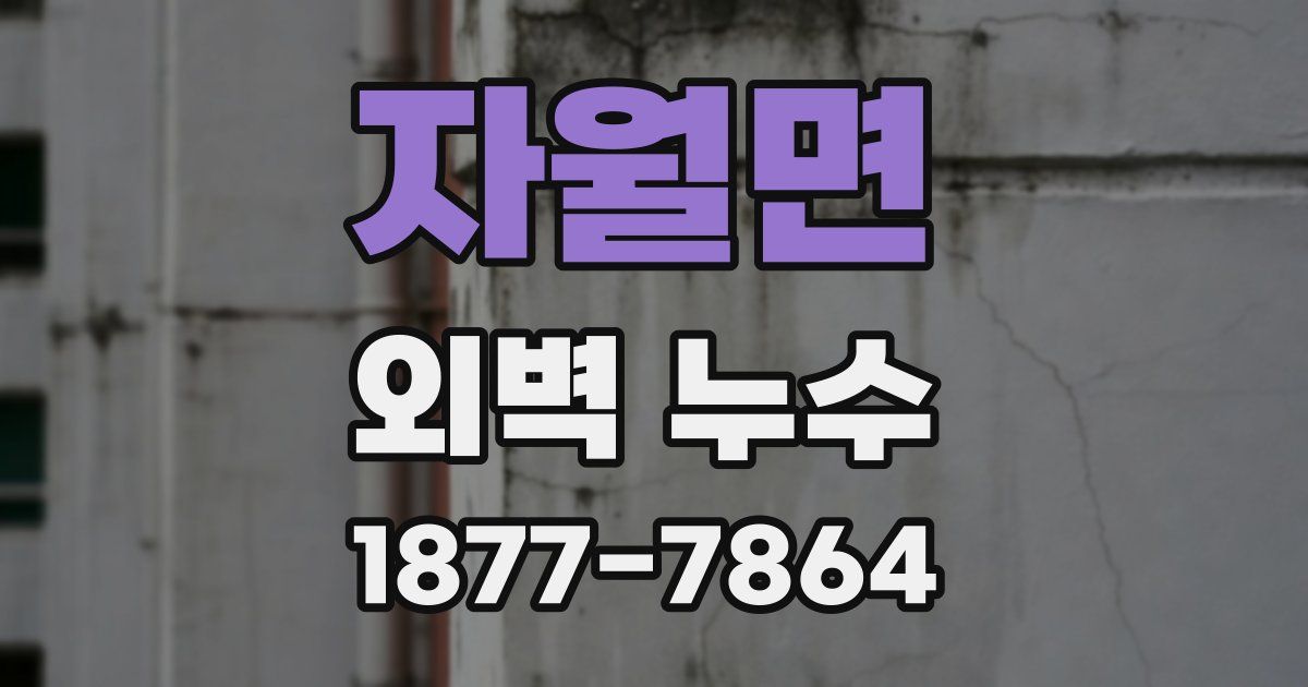 자월면 외벽 누수