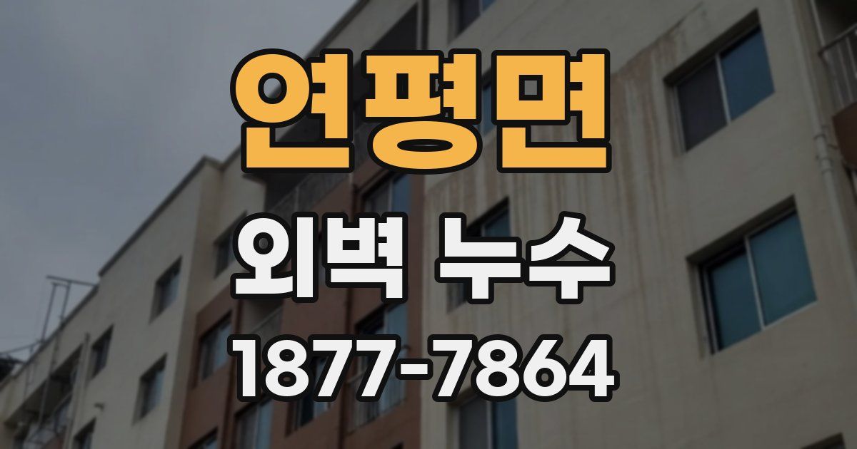 연평면 외벽 누수