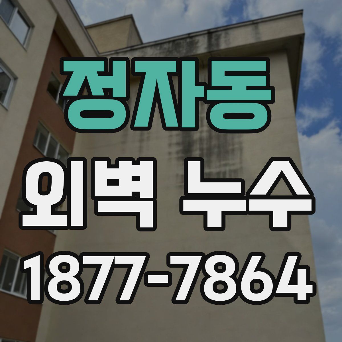 정자동 외벽 누수