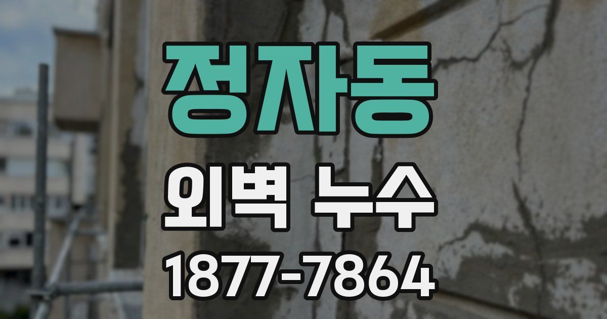 정자동 외벽 누수