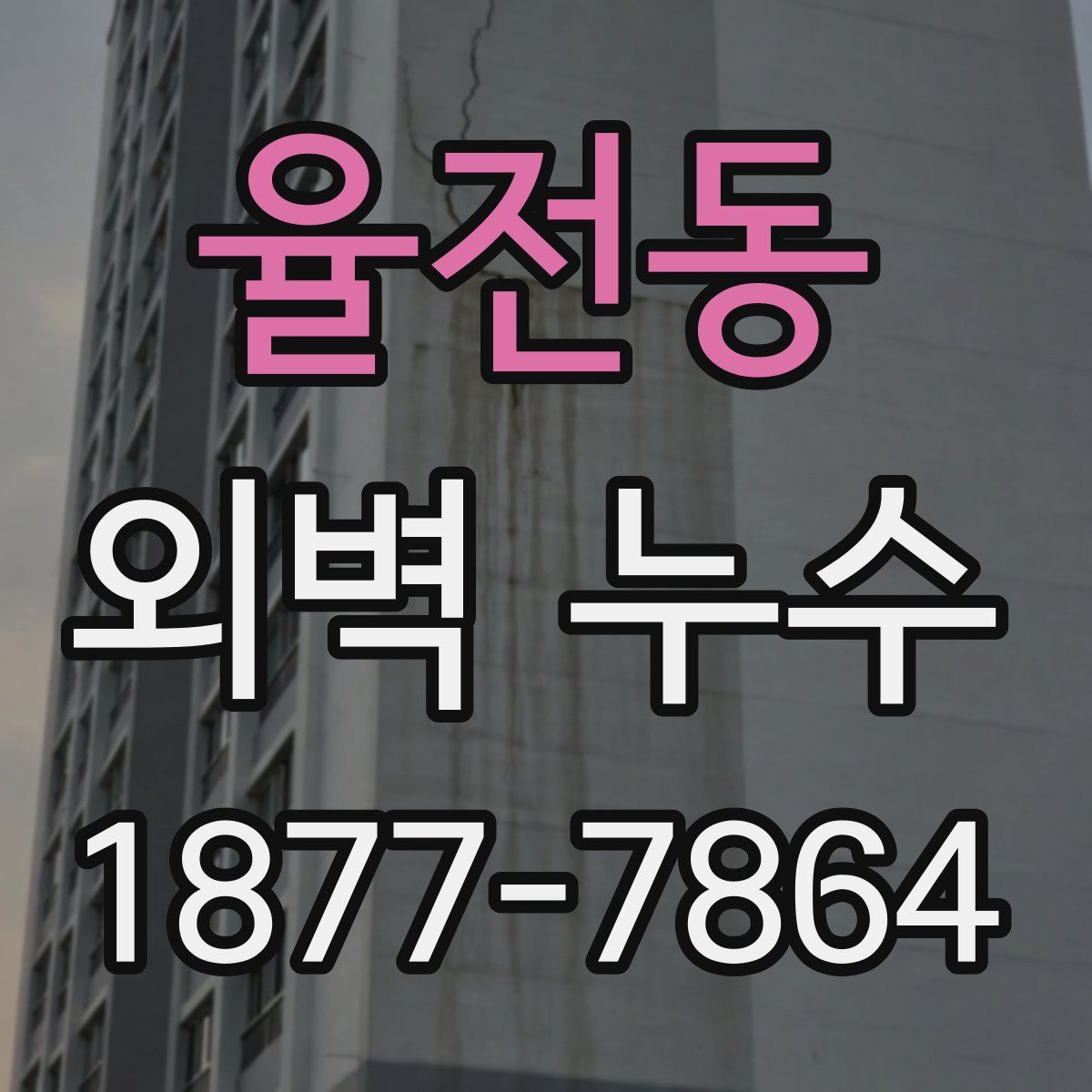 율전동 외벽 누수