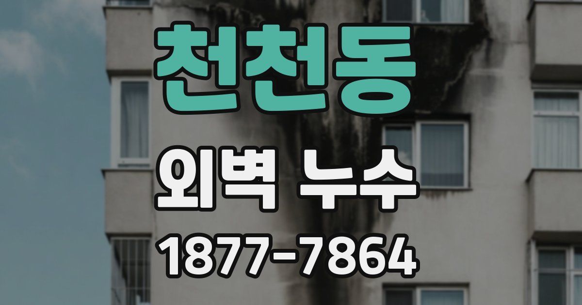 천천동 외벽 누수