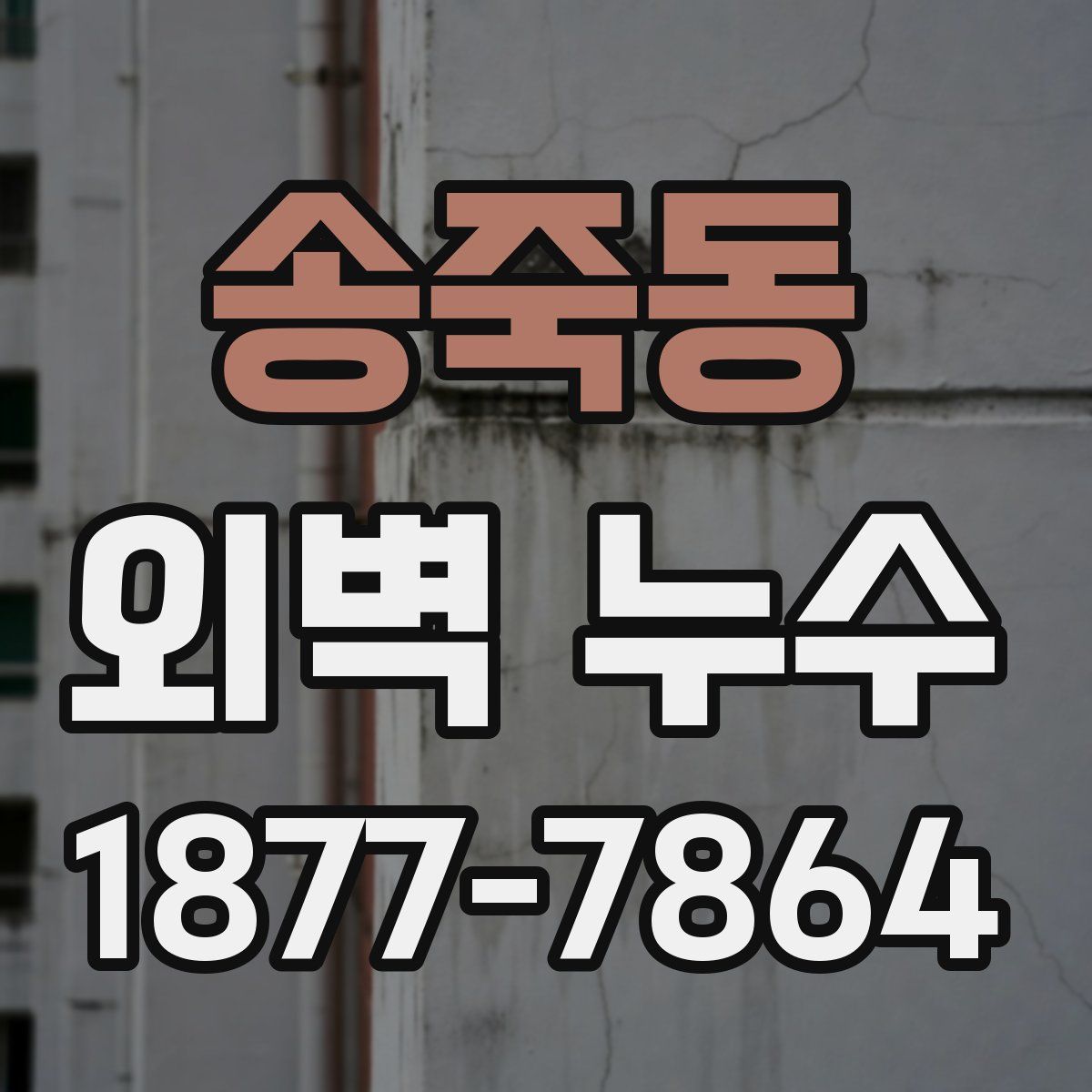 송죽동 외벽 누수