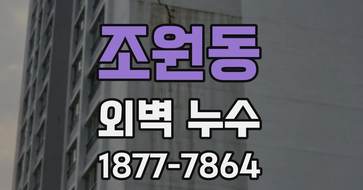 조원동 외벽 누수